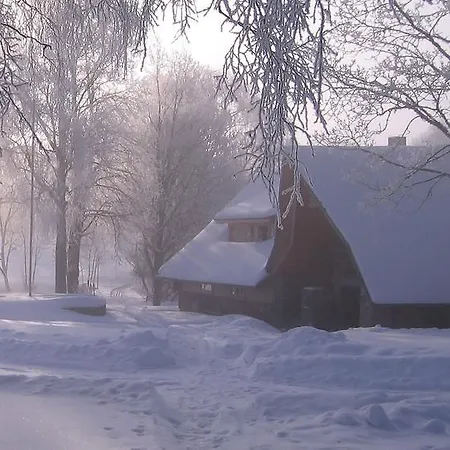 Metsatu Valge Elevandi Puhkemaja Otepaa Exterior photo