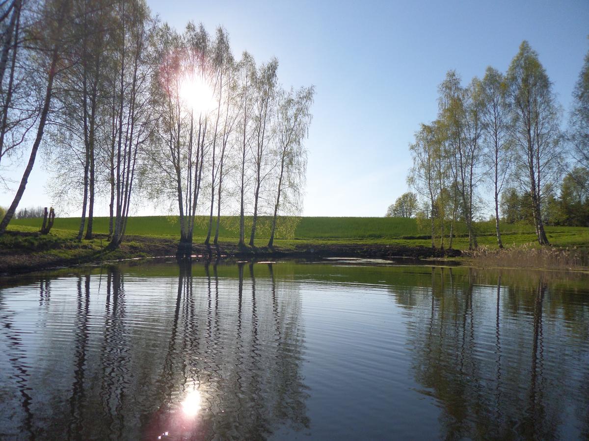 Metsatu Valge Elevandi Puhkemaja